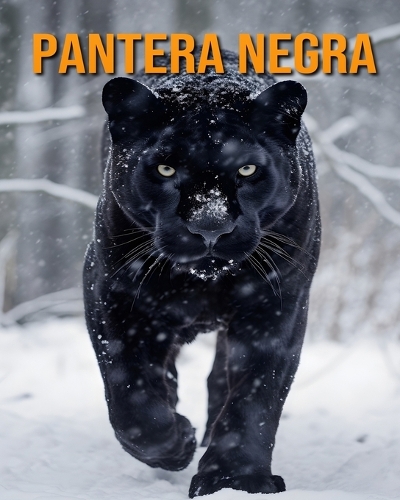 Pantera negra
