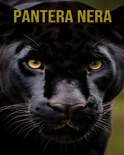 Pantera nera