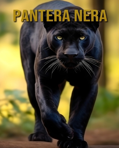 Pantera nera