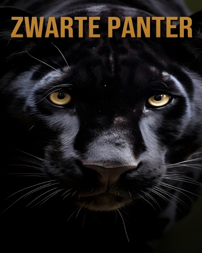 Zwarte Panter