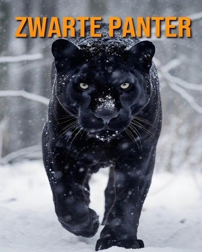 Zwarte Panter