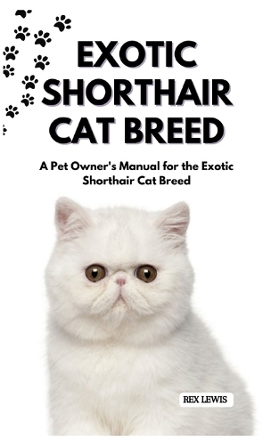 Exotic Shorthair Cat Breed