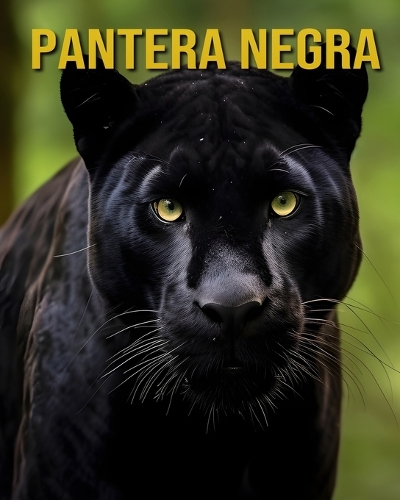 Pantera Negra