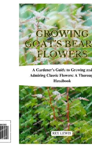 Growing Goat's Beard Flowers