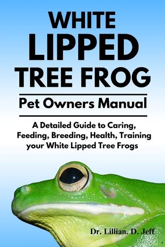 White Lipped Tree Frog