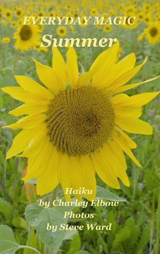 Everyday Magic: Summer
