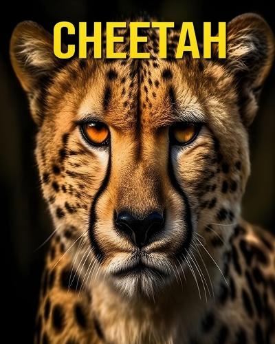 Cheetah