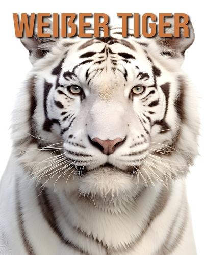 Weißer Tiger