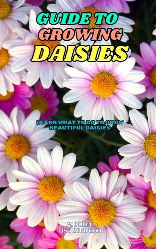 Guide to Growing Daisies
