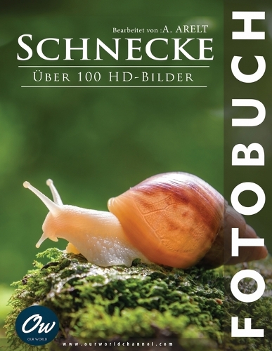 Schnecke