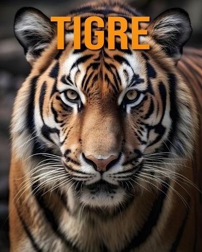 Tigre