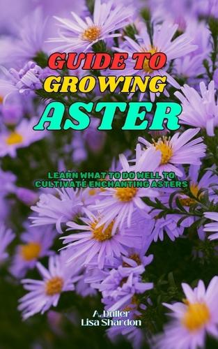 Guide to Growing Asters