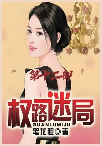 权路迷局:第十二部