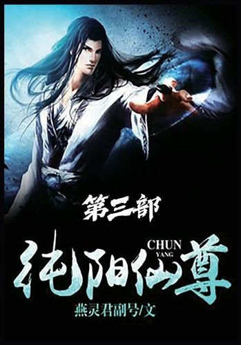 纯阳仙尊:第三部