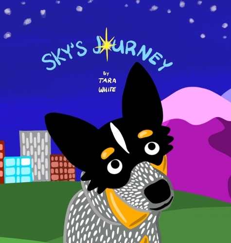 Sky's Journey
