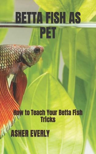 Betta Fish as Pet