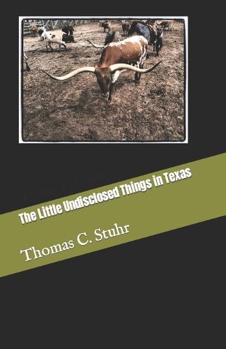 The Little Undisclosed Things in Texas