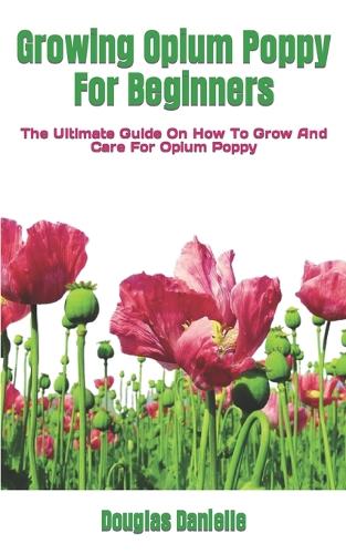 Growing Opium Poppy For Beginners
