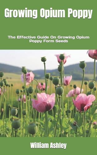 Growing Opium Poppy