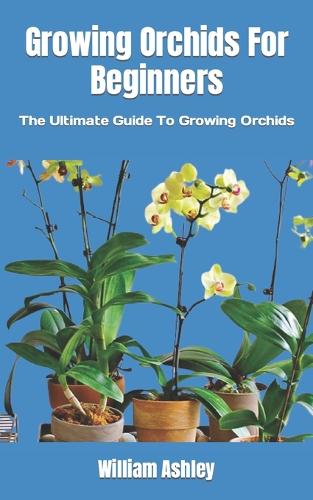 Growing Orchids For Beginners