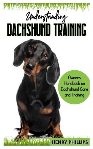 Understanding Dachshund Training
