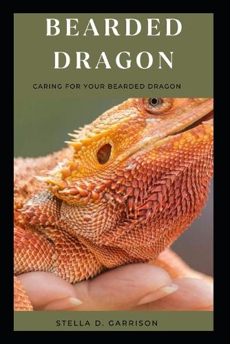 Bearded Dragon