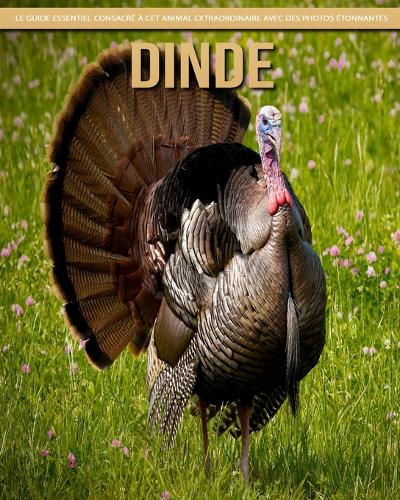 Dinde