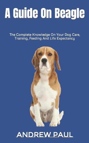 A Guide On Beagle