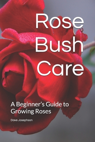 Rose Bush Care