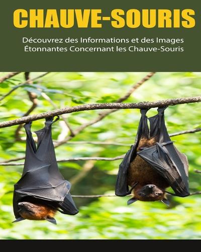 Chauve-Souris