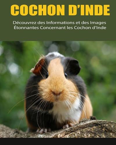 Cochon d'Inde