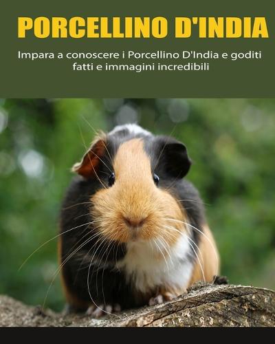 Porcellino D'India