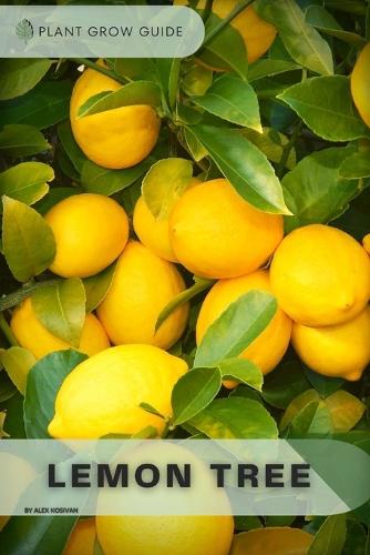 Lemon Tree