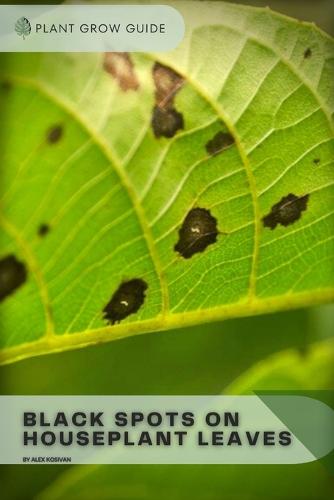 Black Spots On Houseplant Leaves