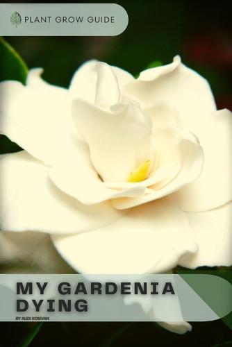My Gardenia Dying
