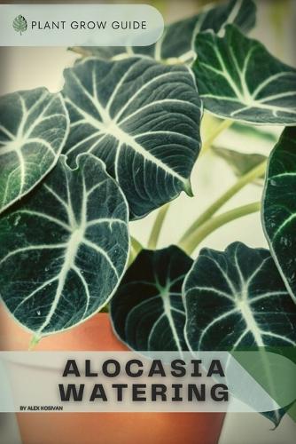 Alocasia Watering