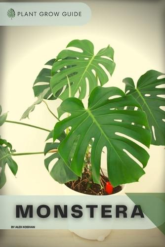 Monstera