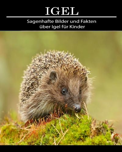 Igel