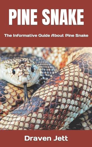 Pine Snake