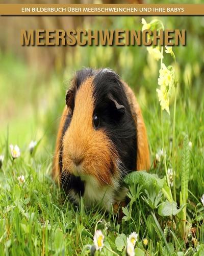 Meerschweinchen