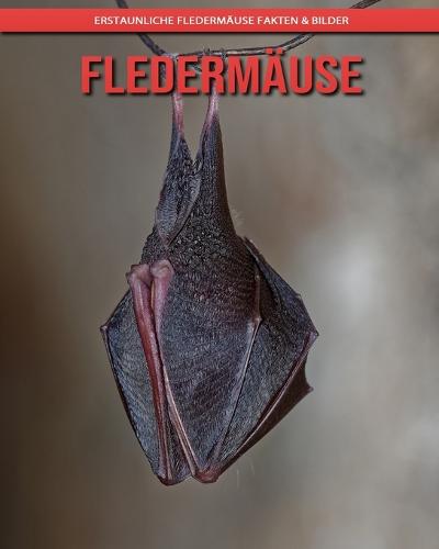 Fledermause
