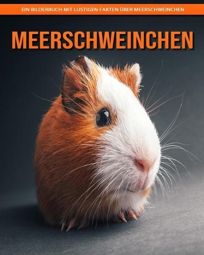 Meerschweinchen