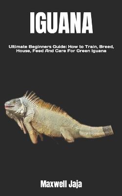 Iguana