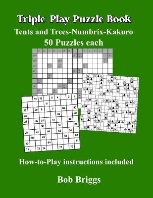 Triple Play Puzzle Book