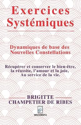 Exercices systémiques