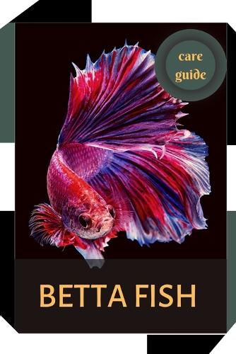 Aquarium fish Betta Fish.