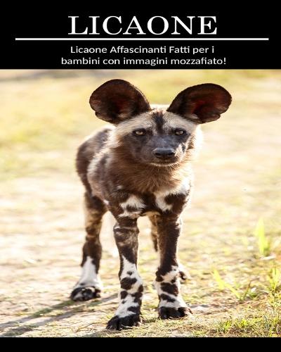 Licaone