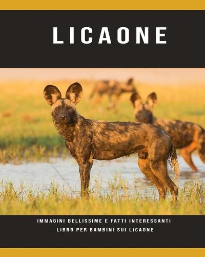Licaone