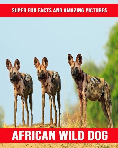 African Wild Dog