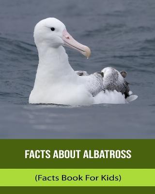 Facts About Albatross (Facts Book For Kids)